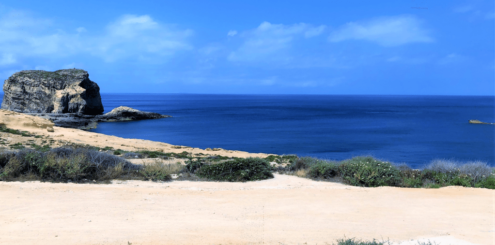 Malta: land, eiland en&nbsp;poezenparadijs